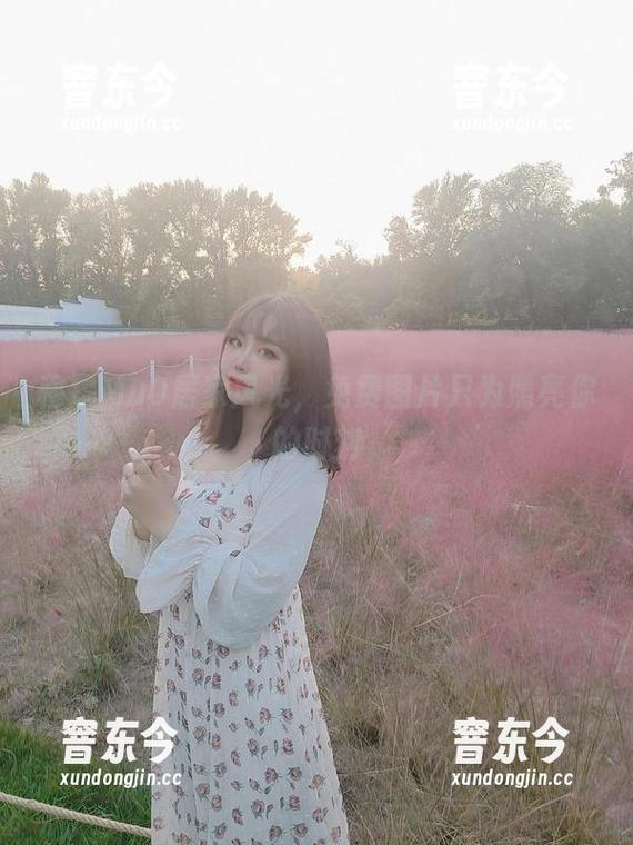 穆零Mu0居家风光，免费图片只为照亮你的时刻